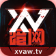 暗网XV